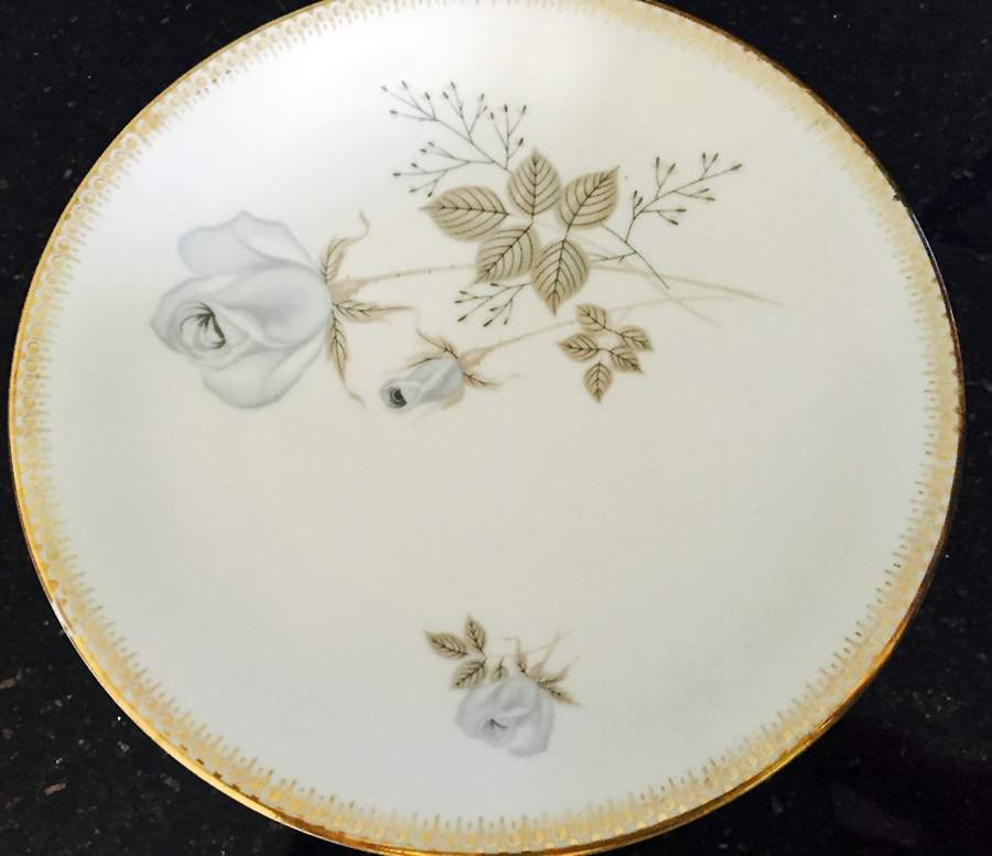 SLT470 Dinner Plate by Seltmann-1