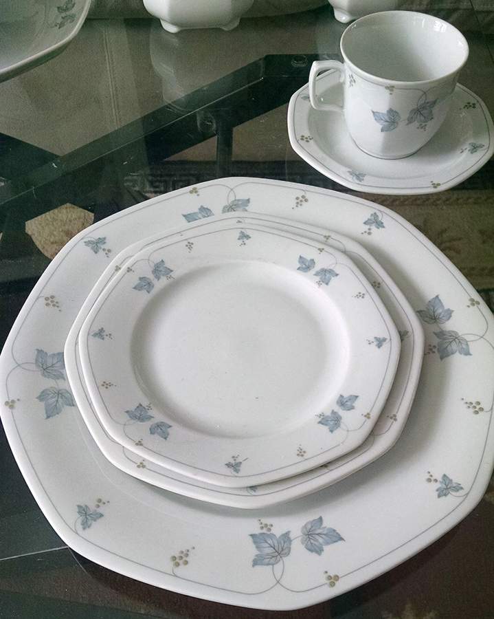SLT471 Dinner Plate by Seltmann-1