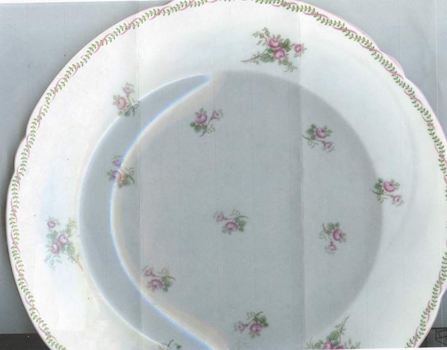 Rose Sprays Dinner Plate by Shelley-1