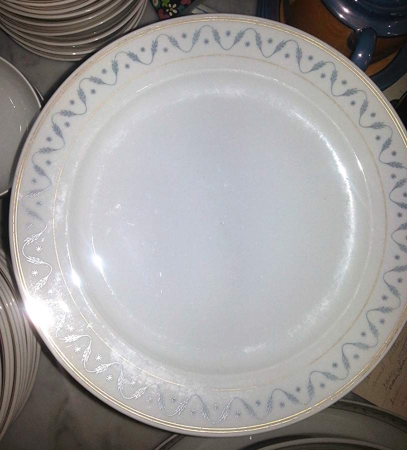 SCD151 Dinner Plate by Schonwald-1
