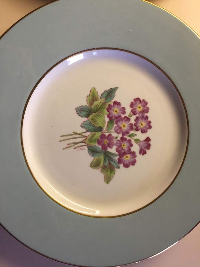 Y5438E Dinner Plate by Spode-1