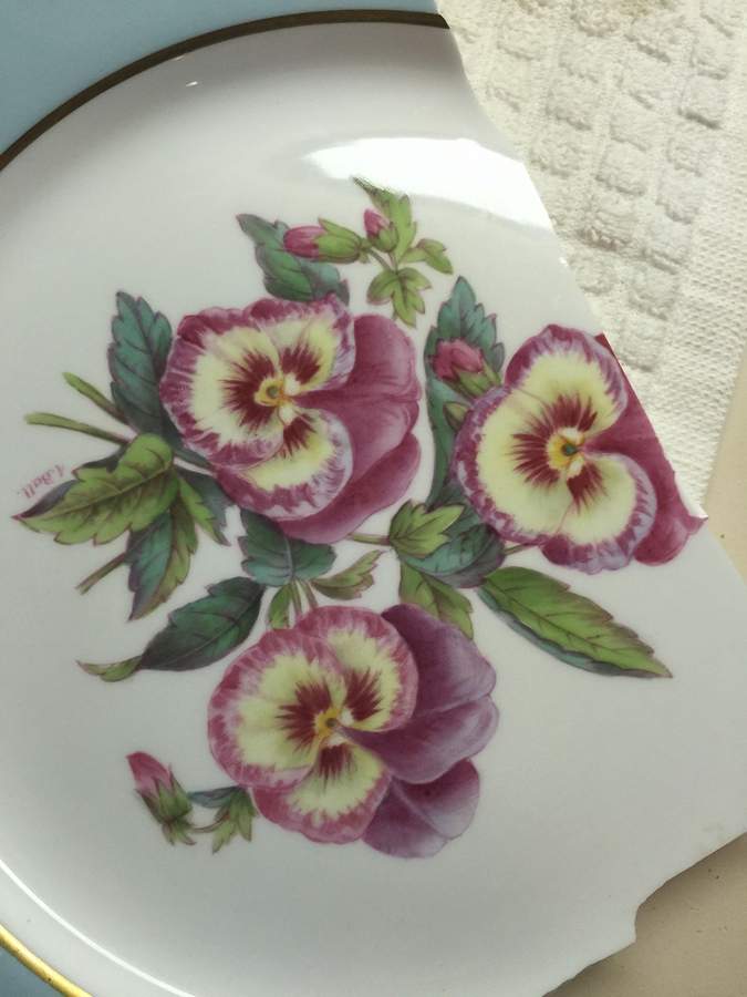 Y5438E Dinner Plate by Spode-1