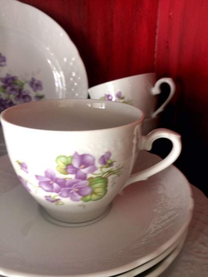 SCH751 Flat Cup & Saucer Set by Schumann - Bavaria-1