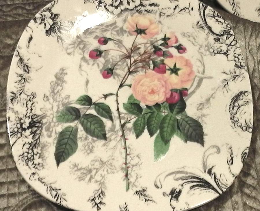 Rose Toile (Porcelain) Square Dinner Plate by Savinio Designs-1