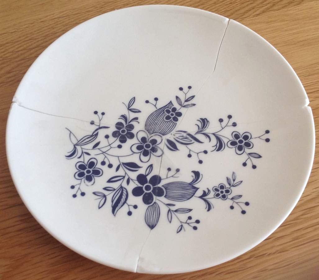 SCH758 Dinner Plate by Schumann - Bavaria-1