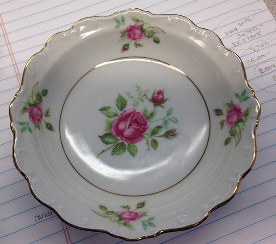SCH760 Dinner Plate by Schumann - Bavaria-1