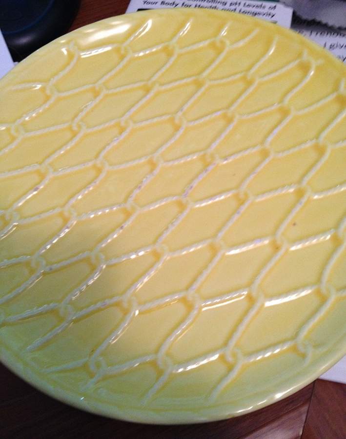SCP14 Dinner Plate by Schmid-1