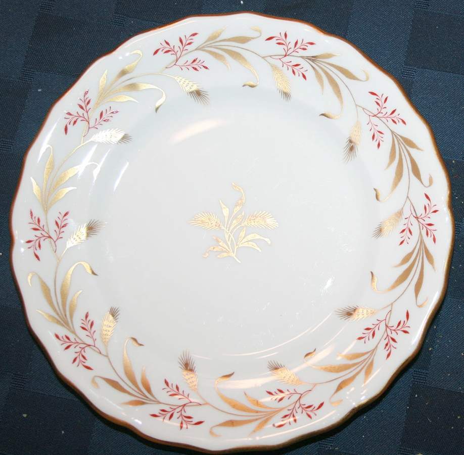 Y7297 Dinner Plate by Spode-1