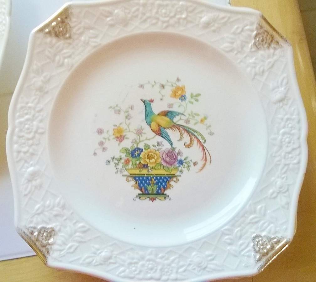 SLM424 Dinner Plate by Salem-1