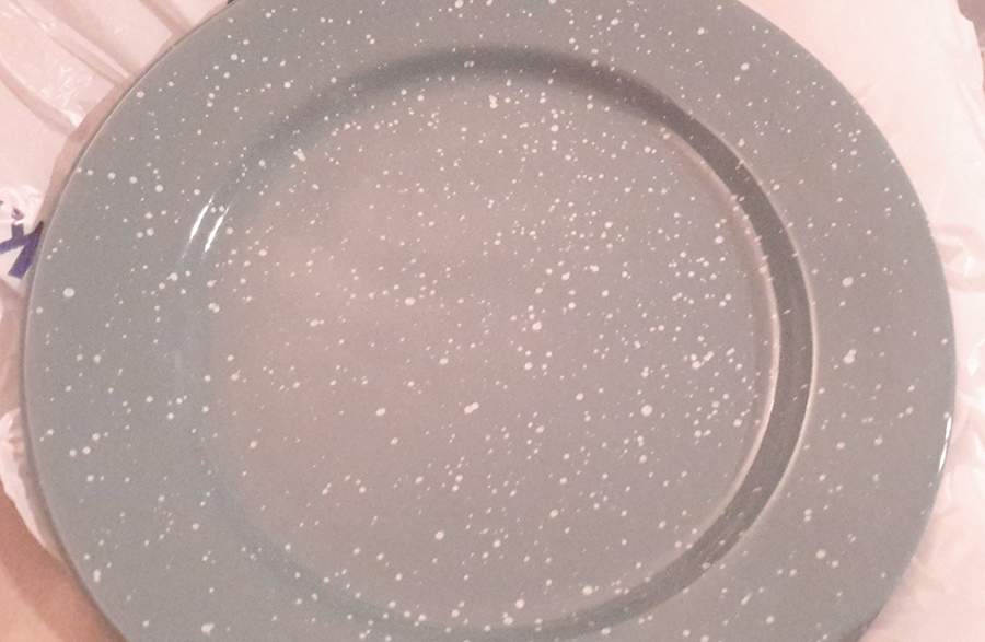 Tablerock Gray and White Dinner Plate by Signature-1