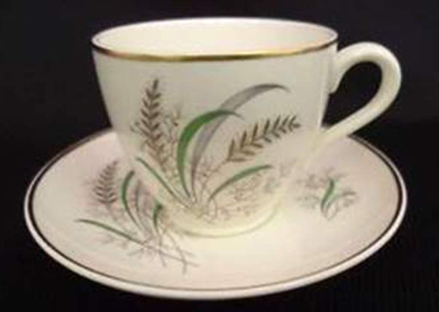 Oklahoma Flat Cup & Saucer Set by Spode-1