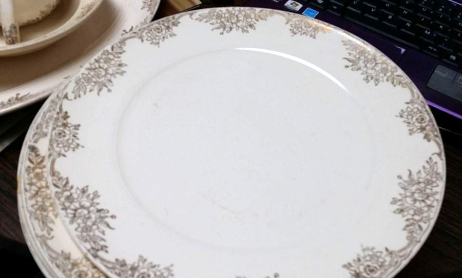 SLM425 Dinner Plate by Salem-1