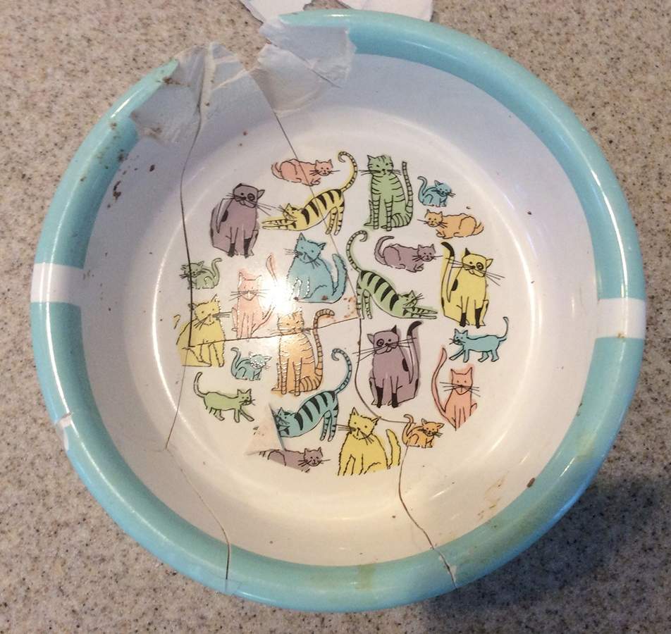 Cat Town Cat Bowl by Signature-1