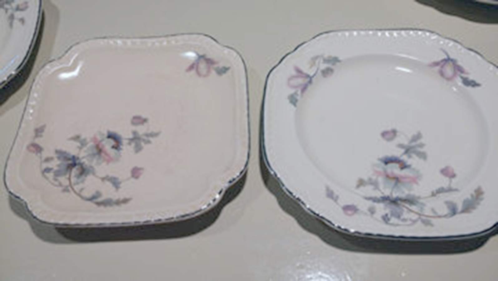 SLM427 Dinner Plate by Salem-1