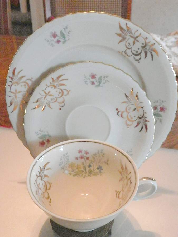 SCG150 Salad Plate by Schirnding-1