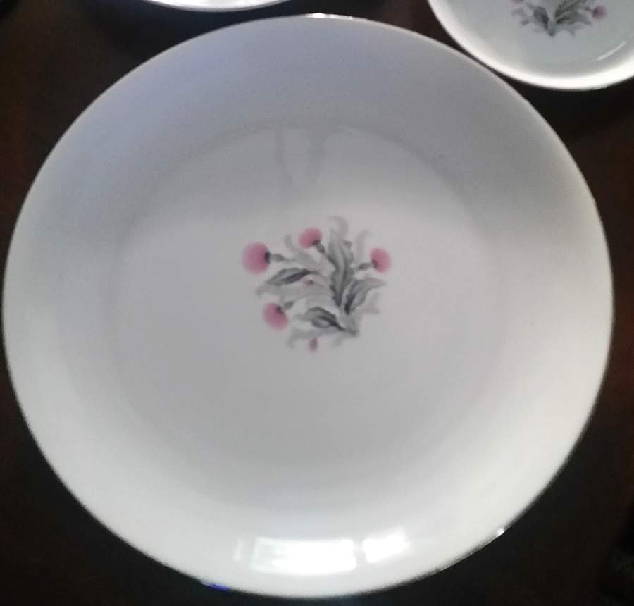 SEY45 Dinner Plate by Seyei Toki Co-1