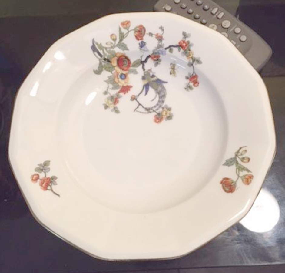 HCZ298 Dinner Plate by Haas-Czjzek Coronado-1