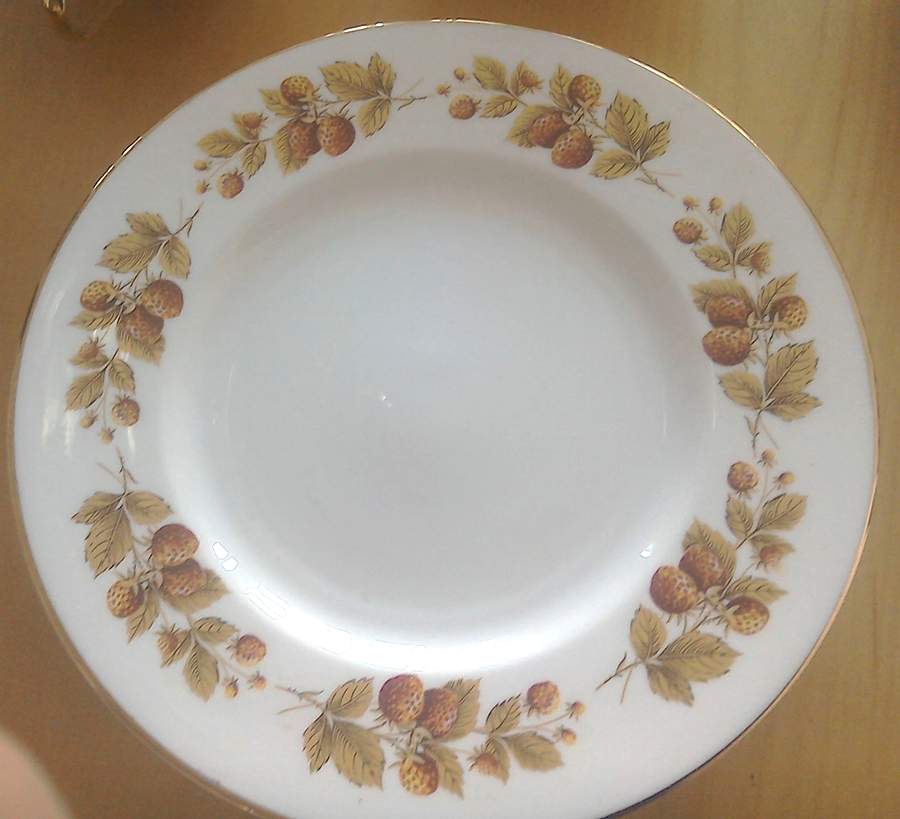 SHE87 Dinner Plate by Shelley-1
