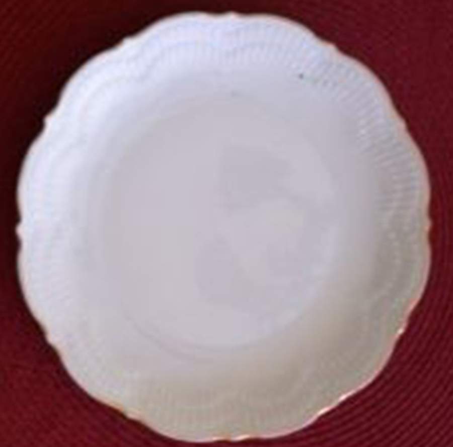 SCG151 Salad Plate by Schirnding-1