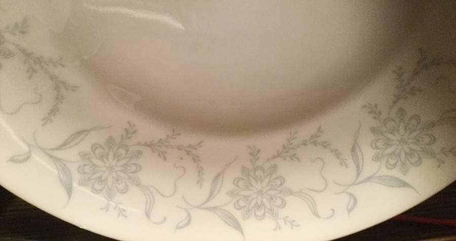 SLT492 Dinner Plate by Seltmann-1