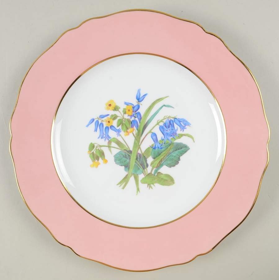 Y4625 (Scalloped) Dinner Plate by Spode-1
