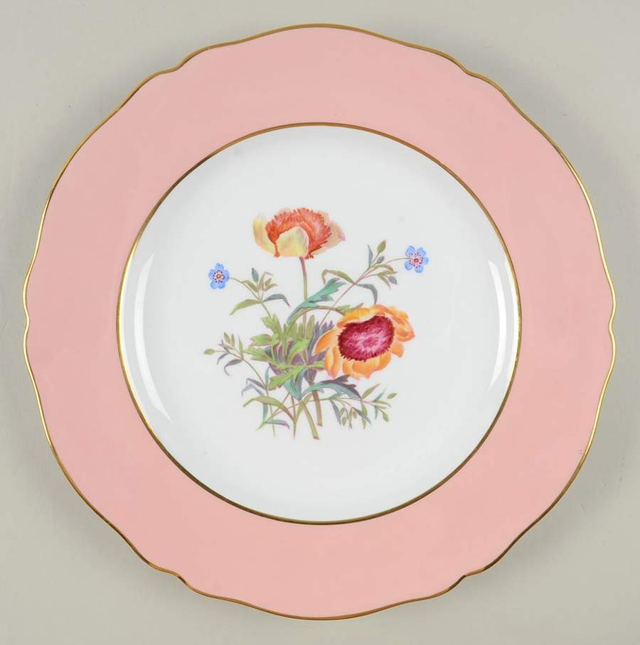 Y4625 (Scalloped) Dinner Plate by Spode-1