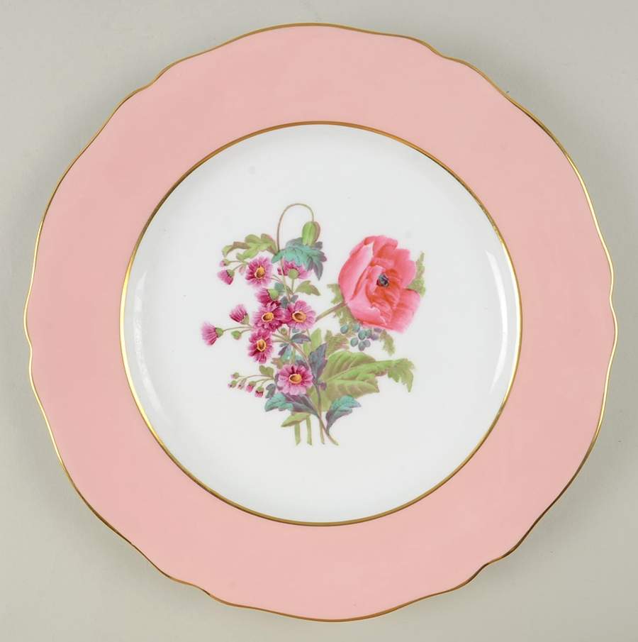 Y4625 (Scalloped) Dinner Plate by Spode-1