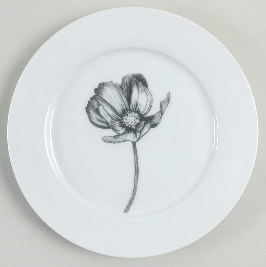 Stella Salad Plate by Spode-1