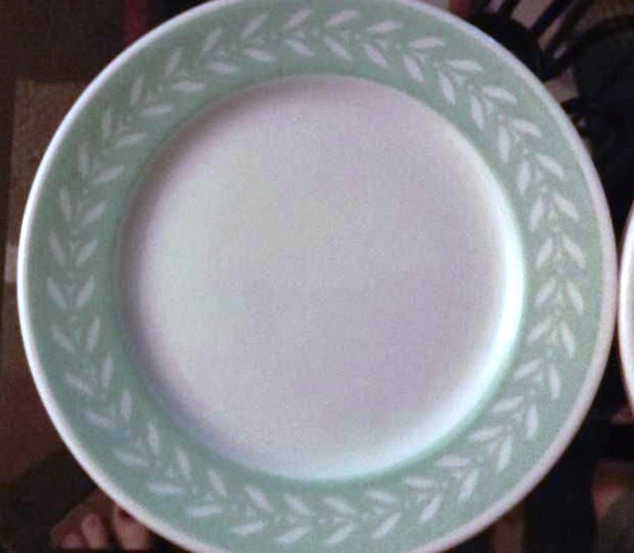SY1203 Dinner Plate by Syracuse-1