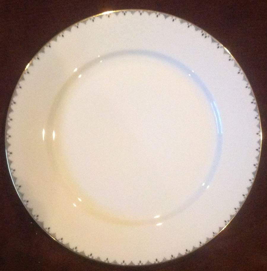 SLT498 Dinner Plate by Seltmann-1