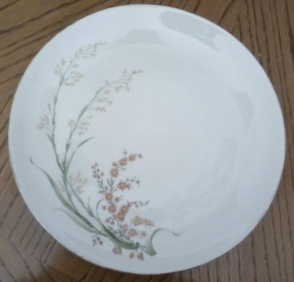 SLT500 Dinner Plate by Seltmann-1