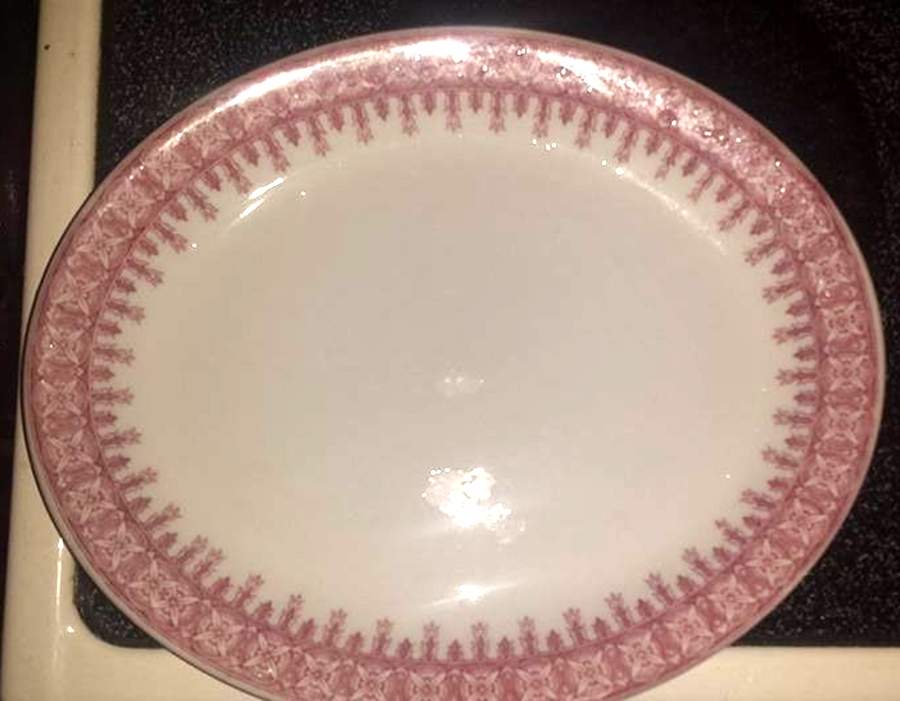SHO105 Pink Dinner Plate by Shenango-1