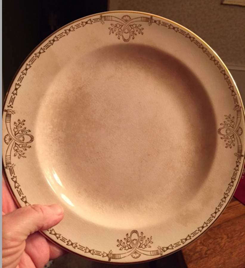 SLM431 Dinner Plate by Salem-1