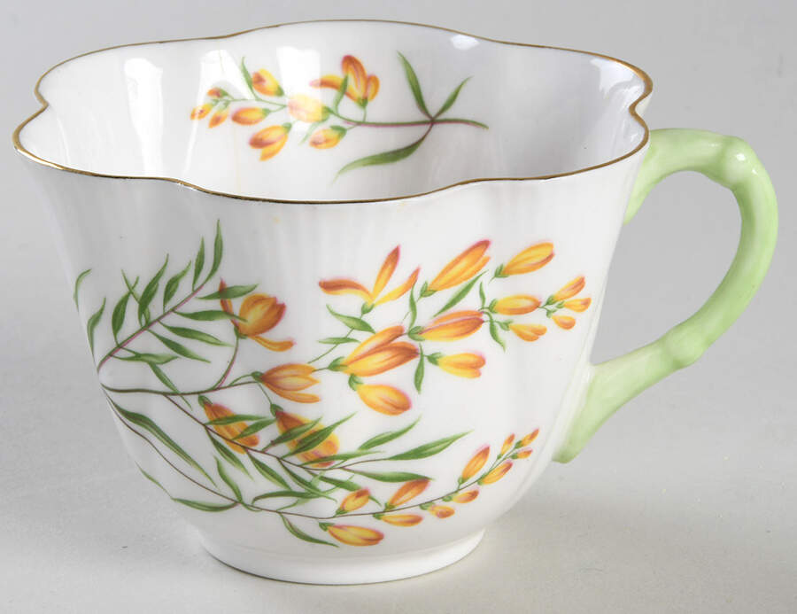 SHE88 Snack Cup by Shelley-1
