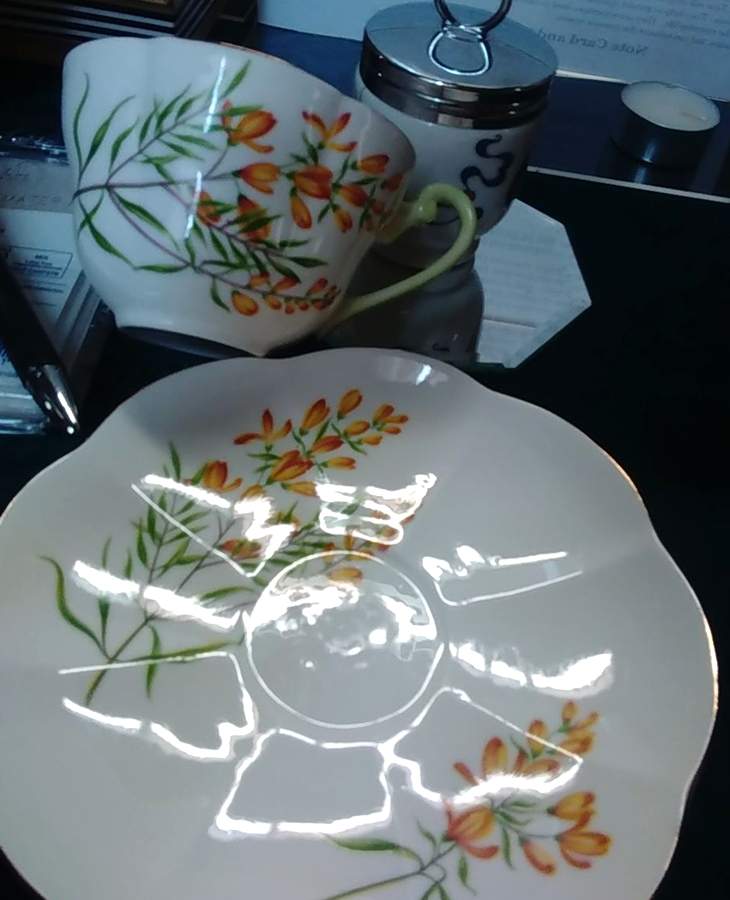 SHE88 Flat Cup & Saucer Set by Shelley-1
