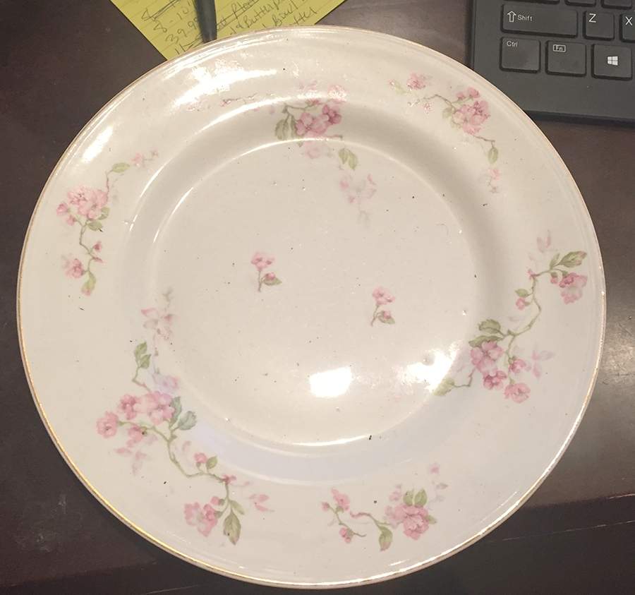 STB446 Dinner Plate by Steubenville-1