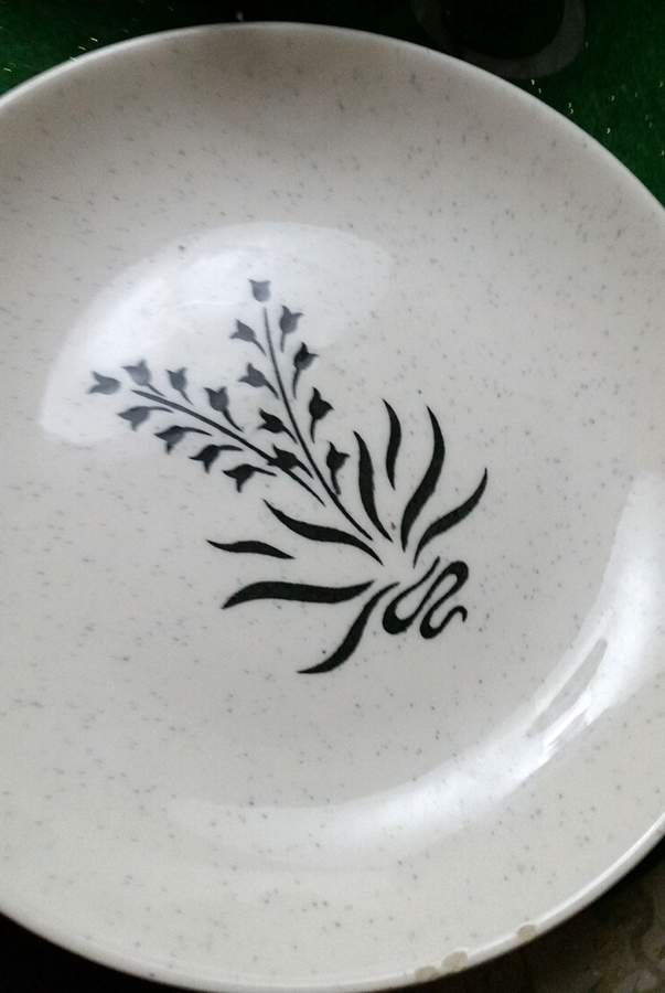 Night Shadows Dinner Plate by Santa Anita-1