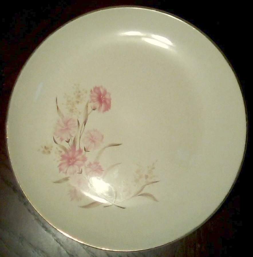 SAB124 Dinner Plate by Sabin-1