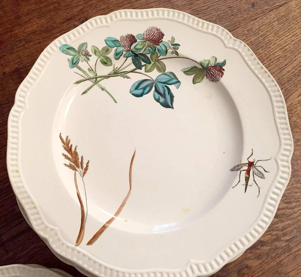 SP711 Dinner Plate by Spode-1