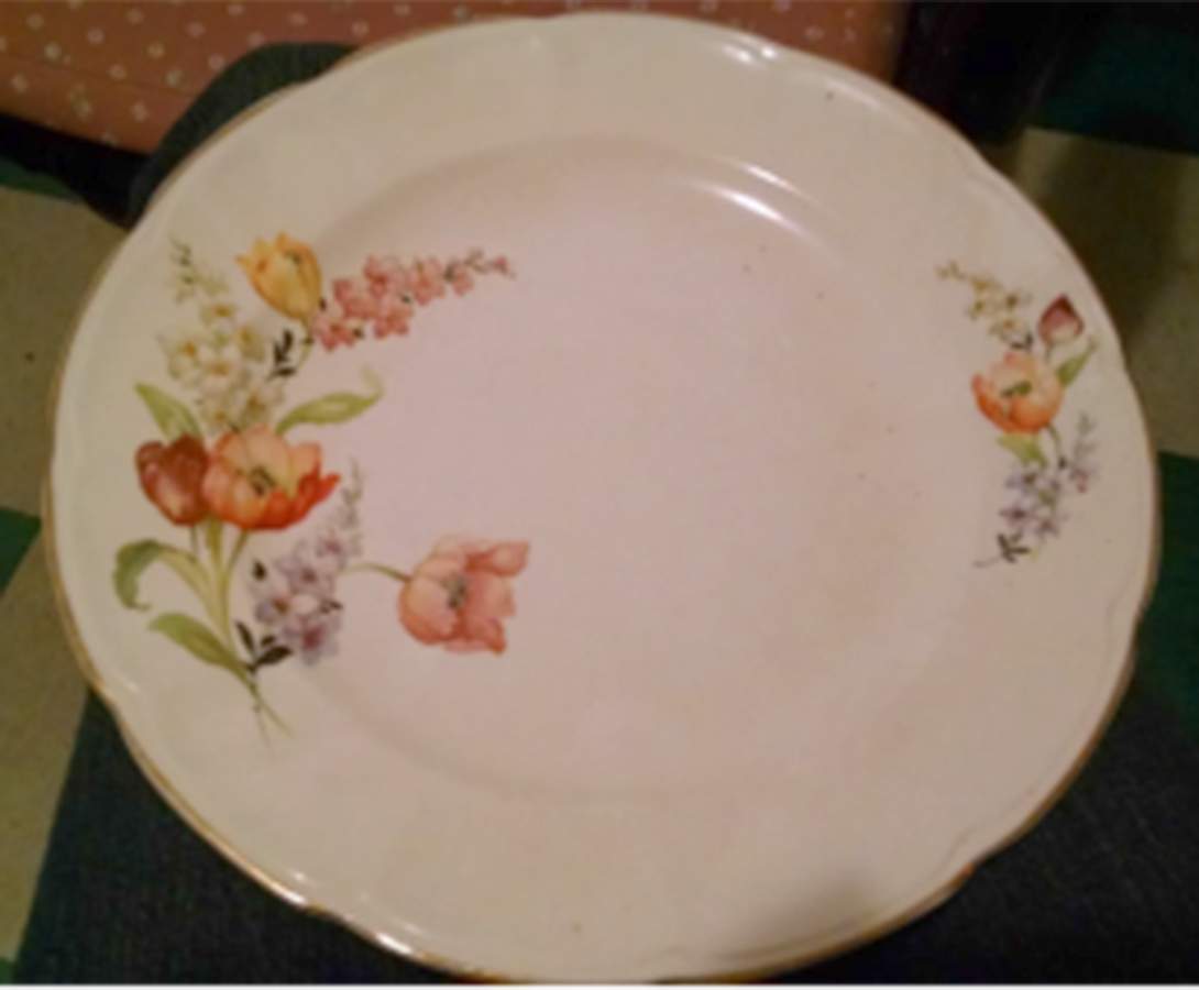 218-36 Dinner Plate by Sovereign Potters-1