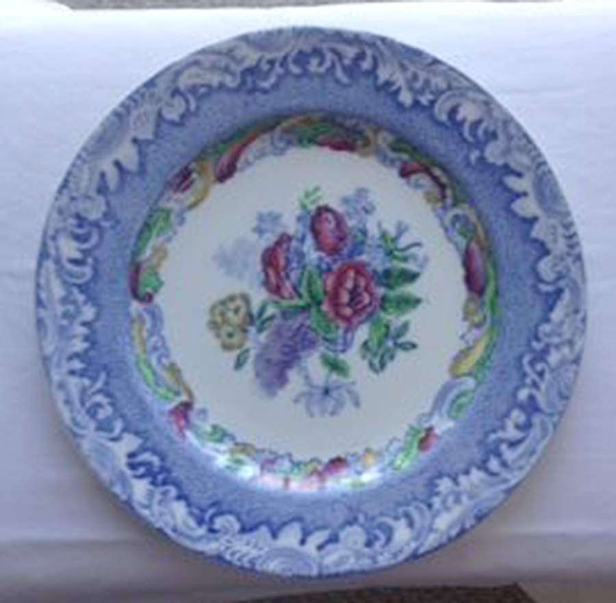 7648 Dinner Plate by Spode-1