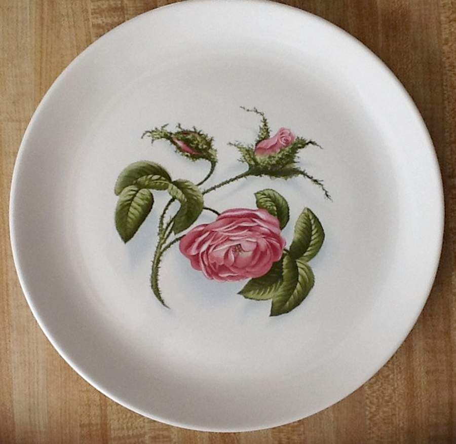 SLM435 Dinner Plate by Salem-1