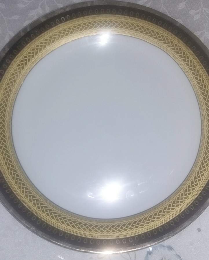 SMJ10 Dinner Plate by SMCS (Germany)-1