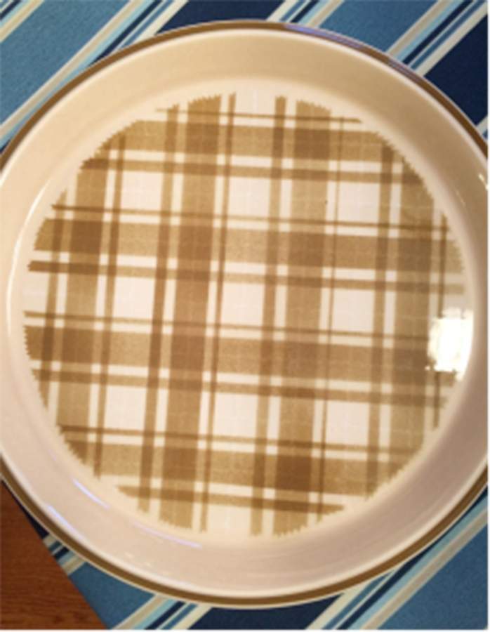Cinnamon Gingham Dinner Plate by Sears-1