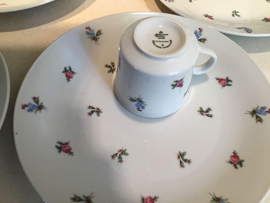 SLT515 Dinner Plate by Seltmann-1