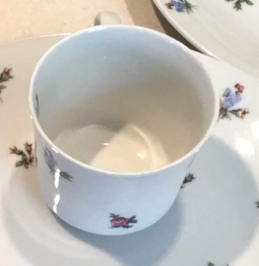 SLT515 Footed Cup by Seltmann-1