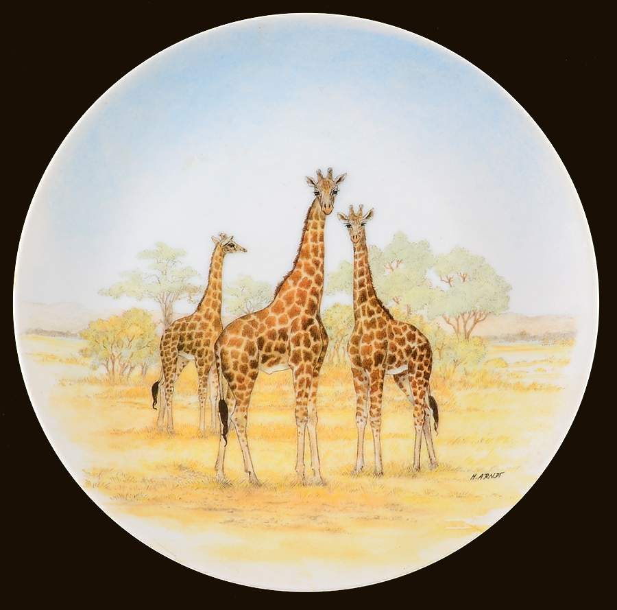 SAD119 Salad Plate by Sadek-1