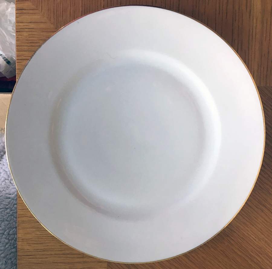SLT516 Dinner Plate by Seltmann-1