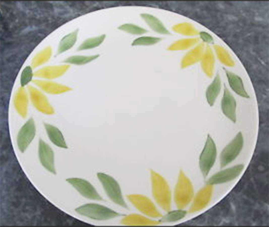 STB451 Dinner Plate by Steubenville-1