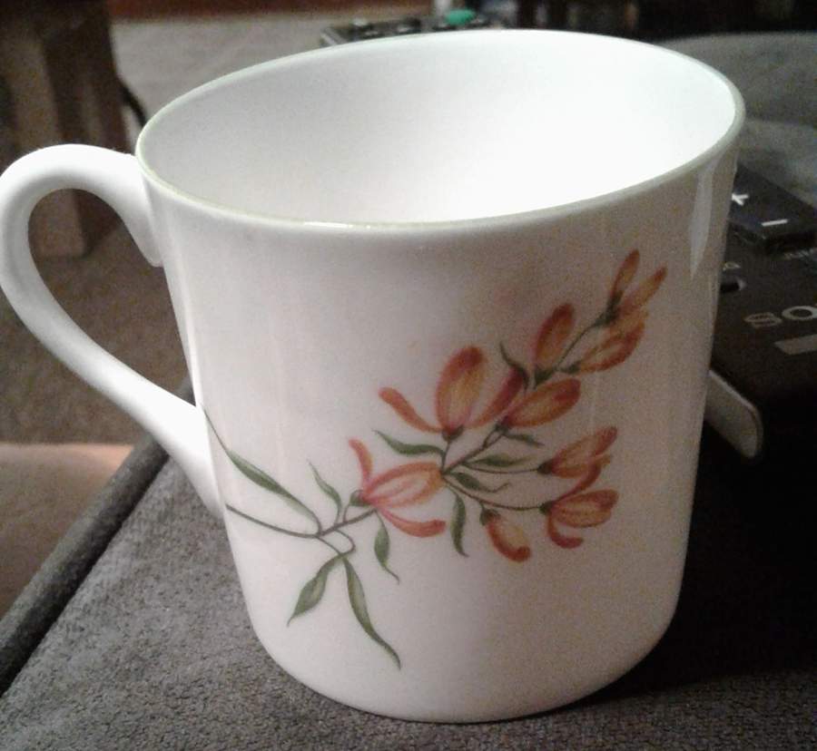 2549 Flat Cup by Shelley-1